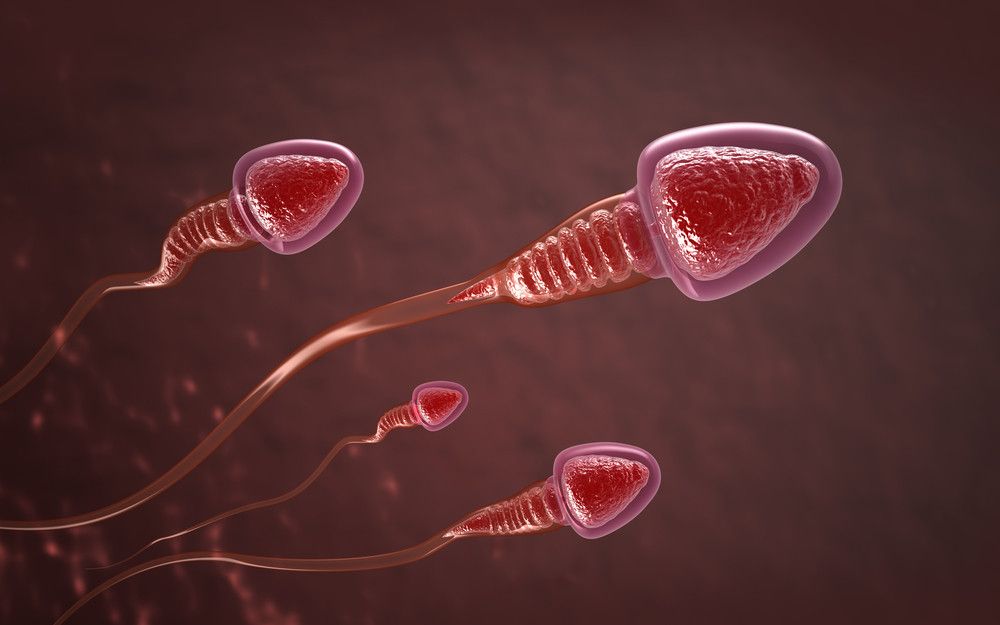 Benarkah Jumlah Sperma Pria Obesitas Lebih Sedikit?