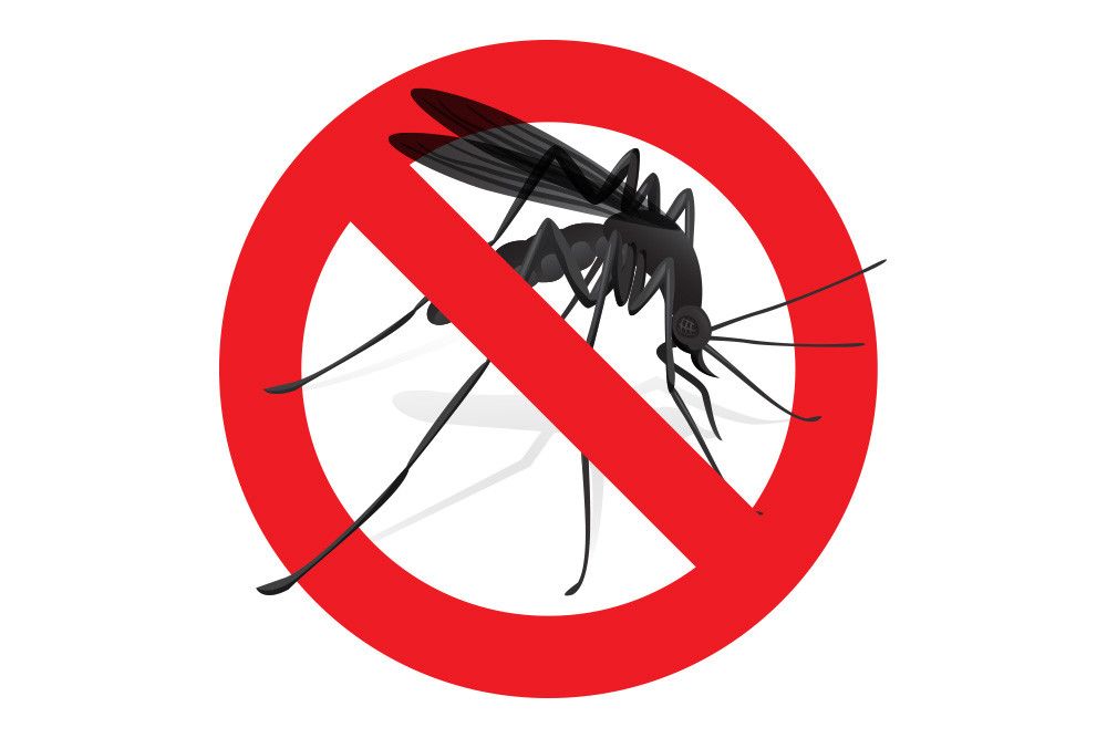 Kiat Mudah dan Ampuh Mengusir Malaria dari Lingkungan Anda