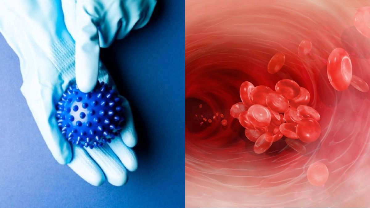 Ini Antibodi Penyebab Penggumpalan Darah pada Pasien COVID