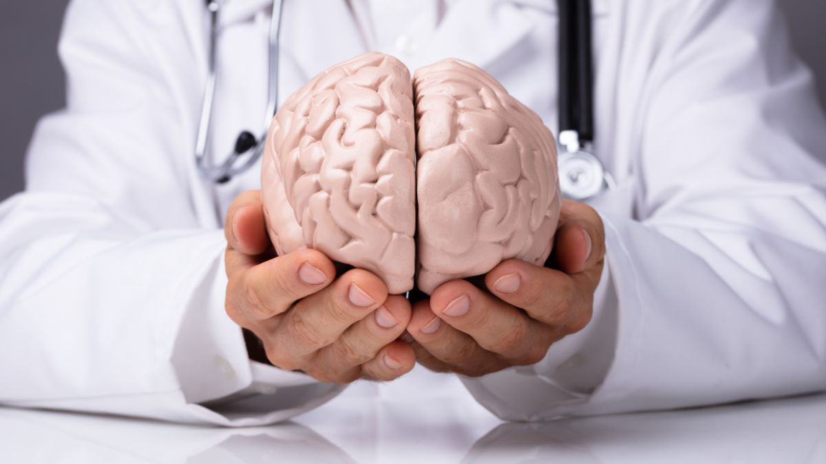 Mengenal Fungsi dan Bagian-Bagian Otak Besar 