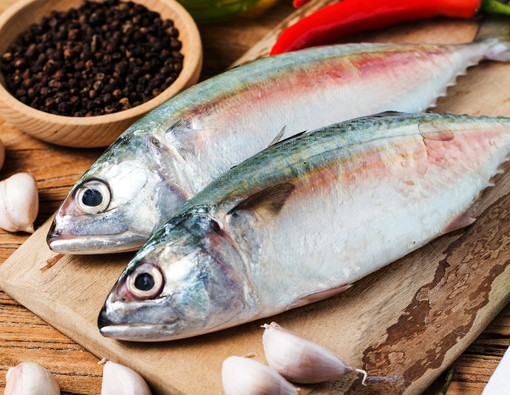 Ikan Kembung, Manfaat, Kandungan Gizi, dan Cara Mengolahnya