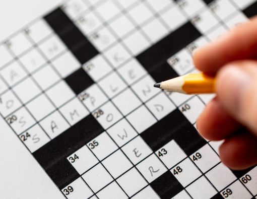 Bikin Otak Awet Muda dengan Mengisi TTS atau Sudoku