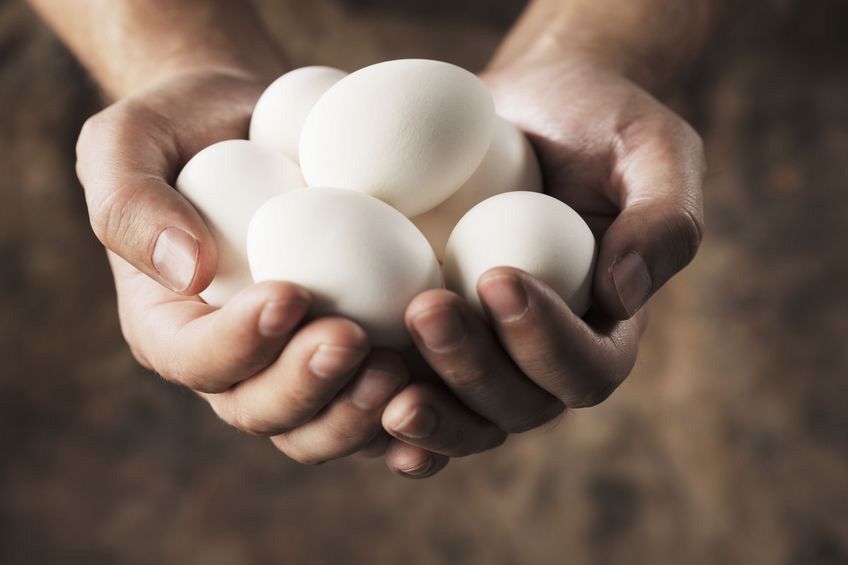Batas Aman Konsumsi Telur dalam Sehari
