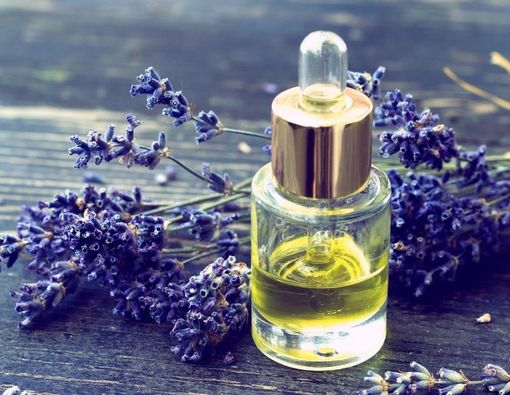 Beragam Manfaat Lavender Oil untuk Kulit