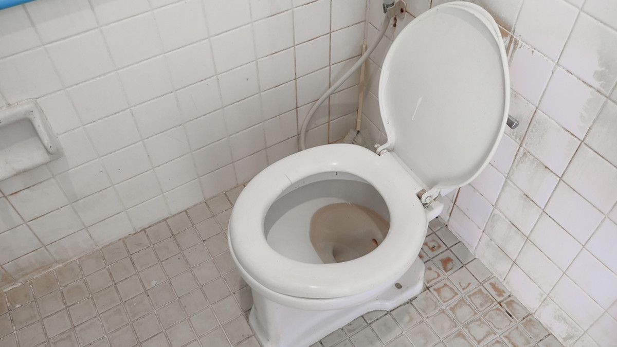 Tips Menggunakan Toilet Umum yang Kotor
