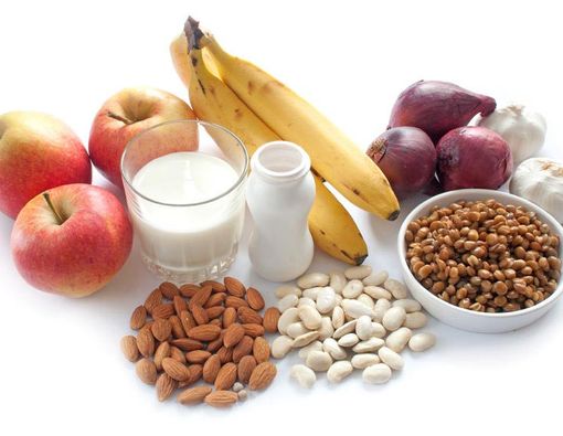 Prebiotik, Sahabat Saluran Cerna Anak