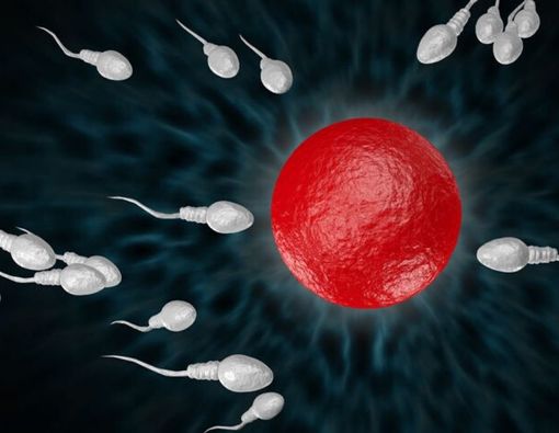 Program Hamil Tak Kunjung Berhasil? Bisa Jadi Anda Alergi Sperma