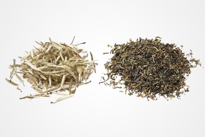White Tea vs. Green Tea: Mana yang Lebih Banyak Diteliti?