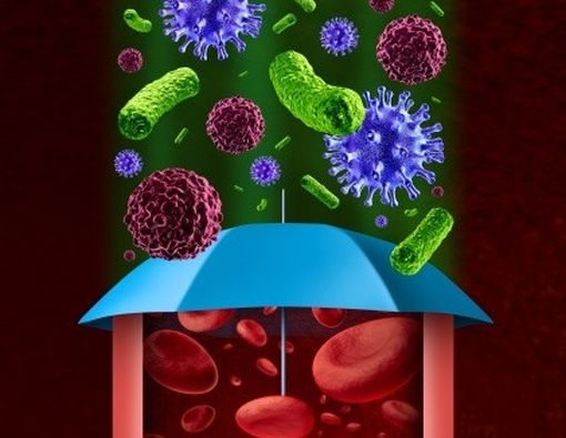 Kandungan Kuman yang Terbawa oleh Air Hujan