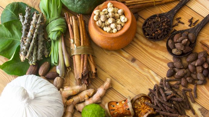 Pilihan Obat Herbal Tumor Otak yang Bantu Kurangi Gejala