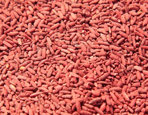 Angkak, Si Merah untuk Demam Berdarah