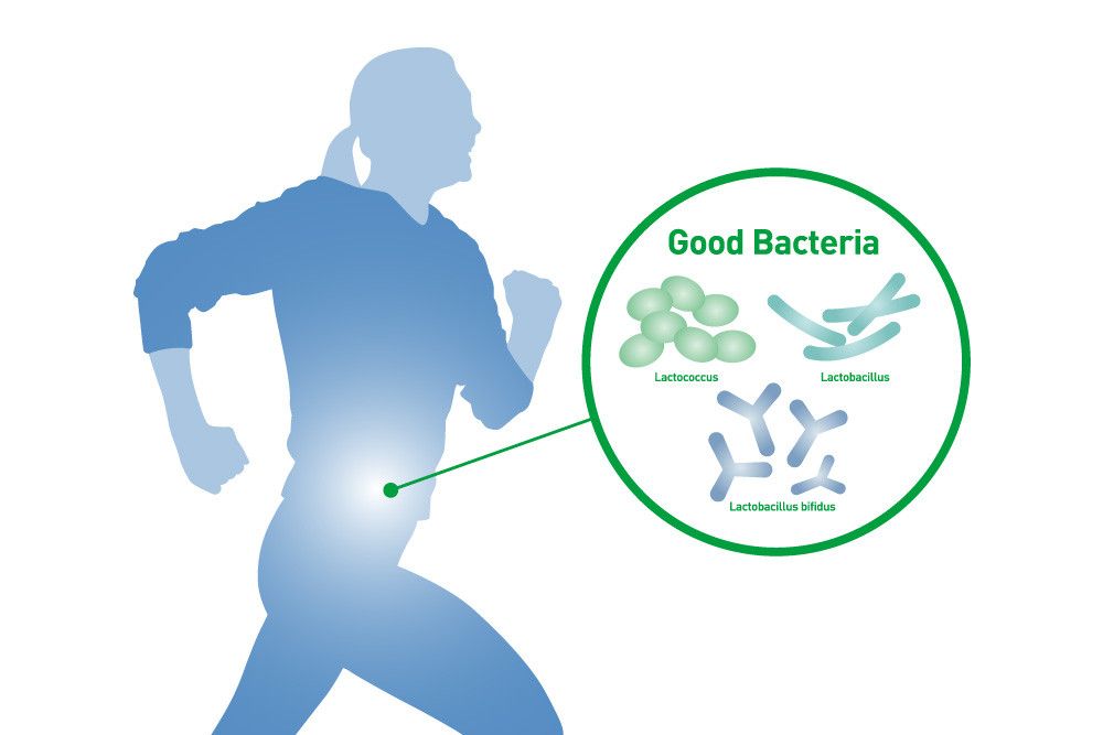 Sepuluh Bakteri Baik yang Menguntungkan bagi Manusia