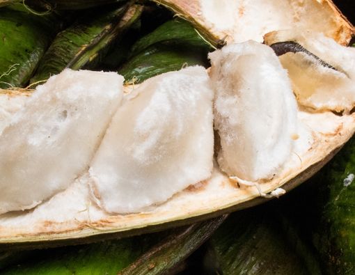 Mengenal Buah Salju Khas Bedugul dari Manfaat, Gizi dan Cara Mengolah