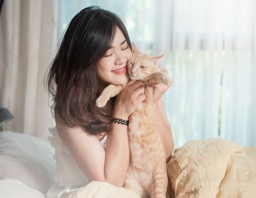Miaw Miaw Miaw Miaw, Bobby Kertanegara dan Jenis Kucing yang Dianggap Lucu untuk Dipelihara