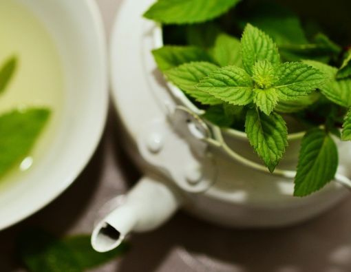 Waspada, Daun Mint Bisa Turunkan Gairah Seksual Anda!