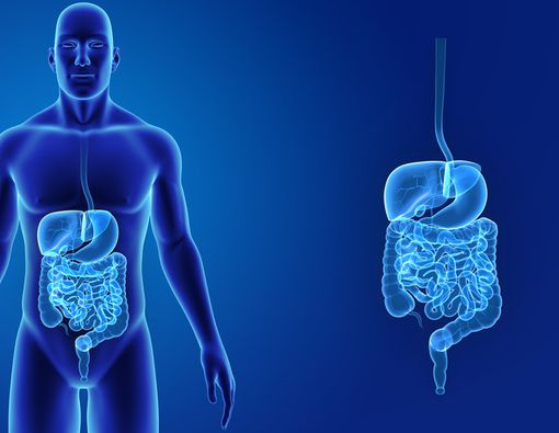 Kenali Peran dan Jenis Serat Terbaik untuk Pencernaan Anda