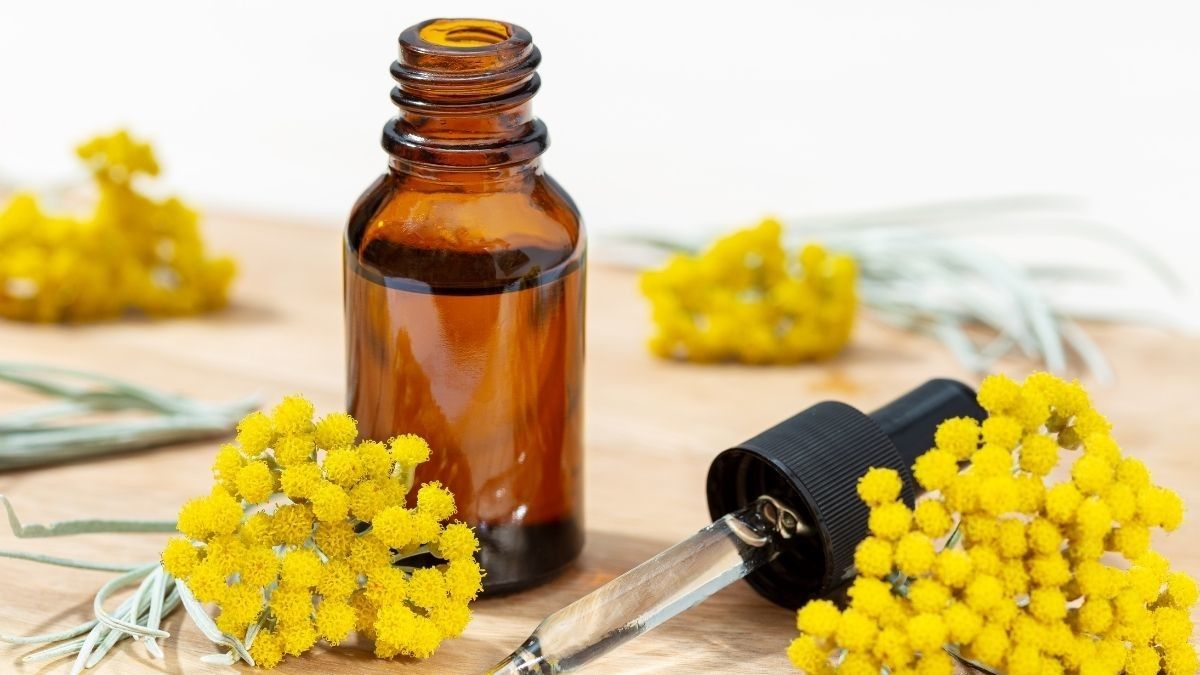 Manfaat Helichrysum Essential Oil untuk Kesehatan Kulit