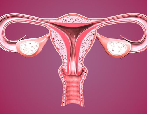 Ciri-Ciri Rahim yang Sehat dan Subur, Wajib Diketahui Wanita