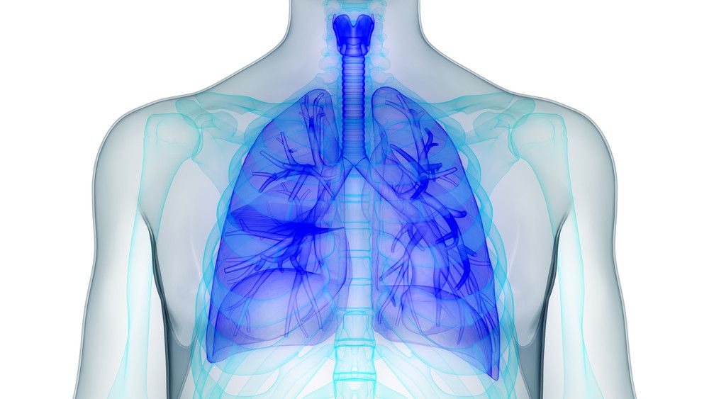 PPOK, Penyakit Berbahaya Akibat Rokok