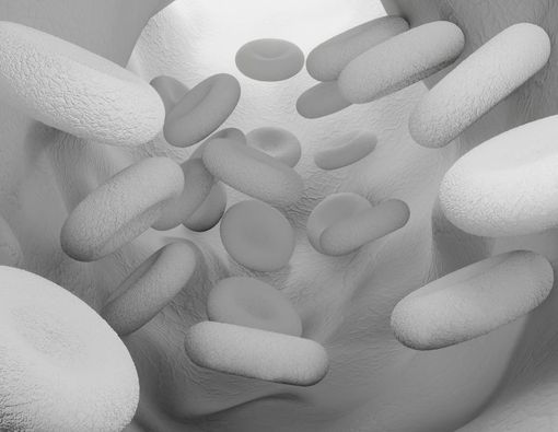 Makanan untuk Tingkatkan Sel Darah Putih Usai Kemoterapi