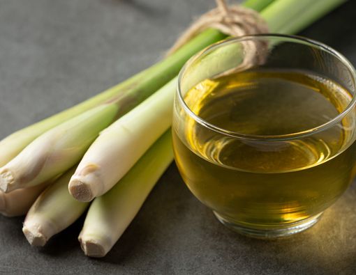 Benarkah Mengonsumsi Serai Bisa Meredakan Batuk?
