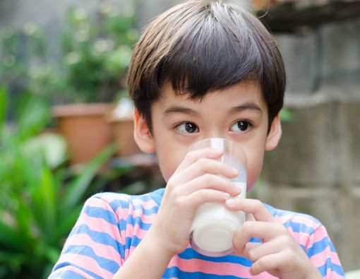 Kapan Anak Boleh Minum Susu Sapi?