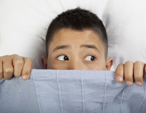 Apa Bedanya Fobia dengan Takut?