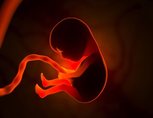 Waspada Pengapuran Plasenta dan Efeknya Bagi Janin