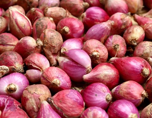 15 Manfaat Bawang Merah untuk Kesehatan Kamu, Apa Saja?