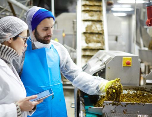 Rumput Laut Bisa Menjadi Sumber Ide Obat Generasi Baru