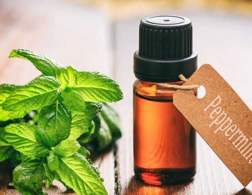 Peppermint untuk Mengatasi Sembelit