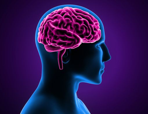 Benarkah Menyelam Berbahaya untuk Kesehatan Otak?