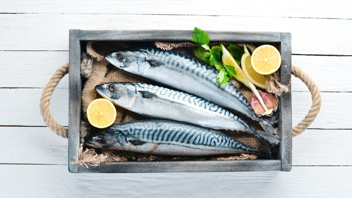 Jenis Ikan yang Perlu Dihindari Ibu Hamil