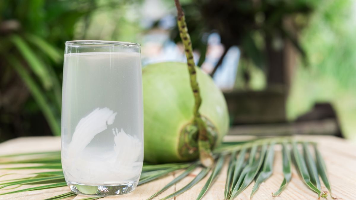 20 Manfaat Air Kelapa Hijau untuk Kesehatan Tubuh
