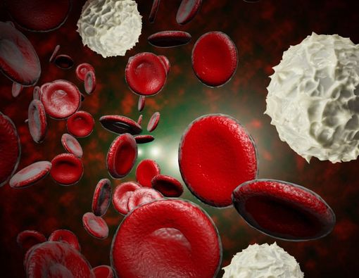 Mengenal Fungsi Leukosit dan Kadar Normalnya pada Tubuh