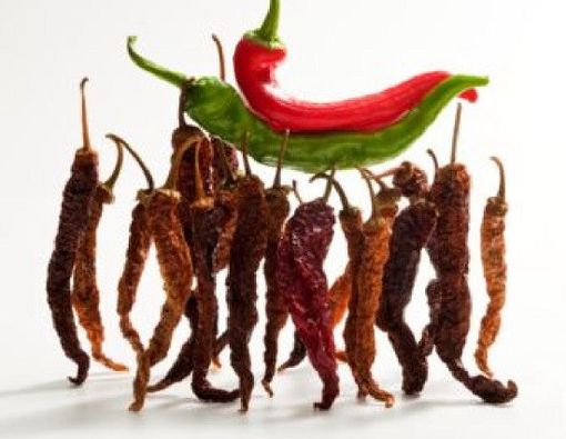 Cabai Pedas Menginspirasi Anti Nyeri Generasi Baru