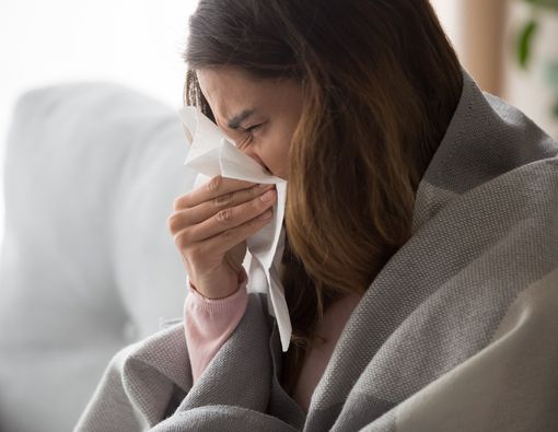 Polinacea vs Echinacea, Mana Lebih Efektif untuk Cegah Flu?