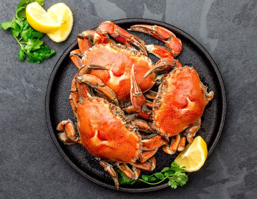 Coba Dulu, Ini Cara Aman Makan Kepiting untuk ibu Hamil