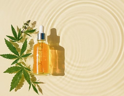 Manfaat Minyak Marula untuk Kulit Lembap dan Awet Muda