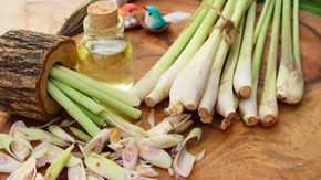 14 Manfaat Sereh yang Baik untuk Kesehatanmu