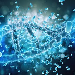 Terapi Stem Cell, Harapan Baru untuk Pengobatan Penyakit Degeneratif