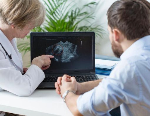 Tahapan Perkembangan Janin di Dalam Kandungan