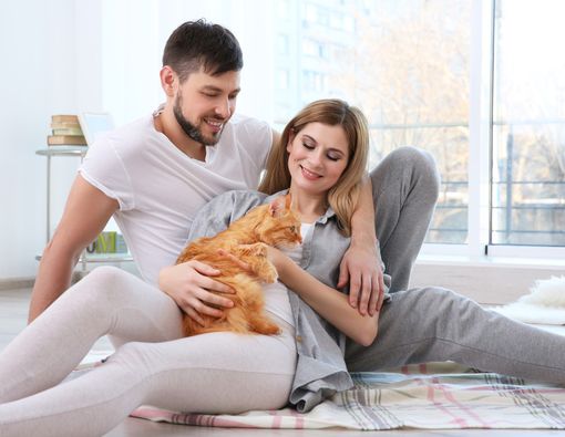 Memelihara Kucing? Anda Bisa Dapatkan Manfaat Sehat Ini