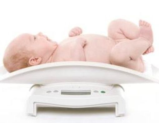 Bayi Gemuk Lebih Beresiko Obesitas