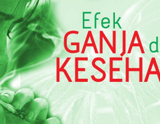 Efek Ganja Pada Kesehatan Mental