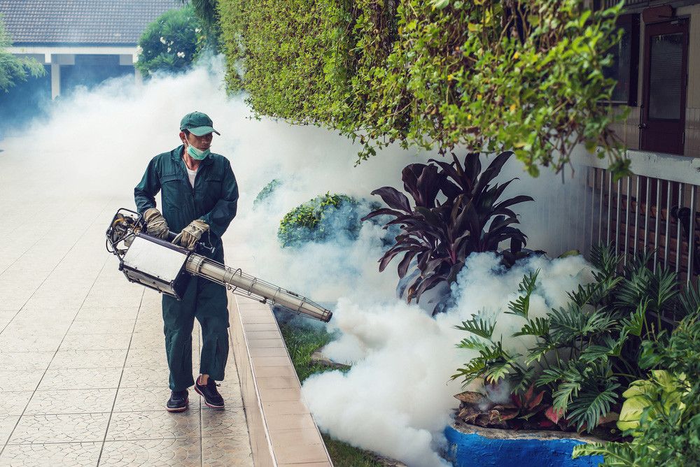 Efektifkah Fogging untuk Membasmi Nyamuk?