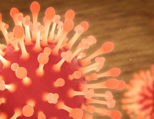 Benarkah Virus Flu Biasa Mampu Lindungi dari COVID-19?