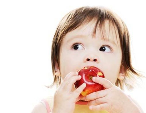 10 Sumber Zat Gizi untuk Si Kecil 