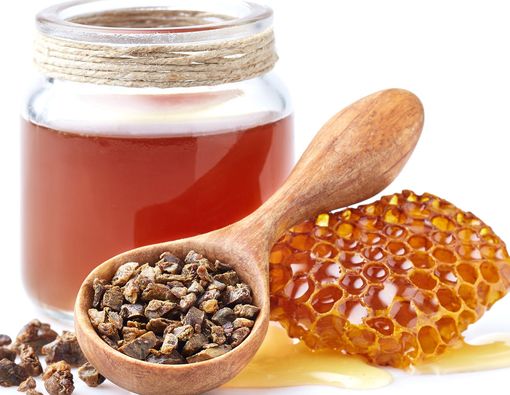 Plus Minus Propolis untuk Kesehatan