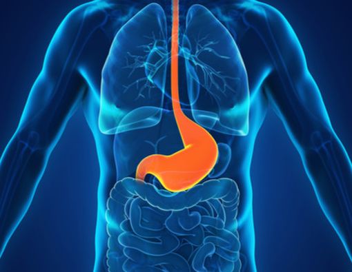 Makanan yang Harus Dihindari Penderita Mag Saat Sahur